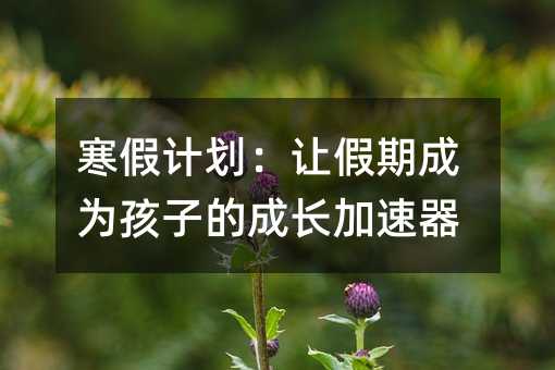 寒假計(jì)劃:讓假期成為孩子的成長加速器