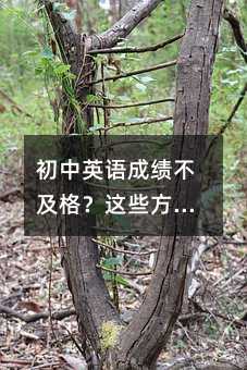 ӢZɿ@Щu