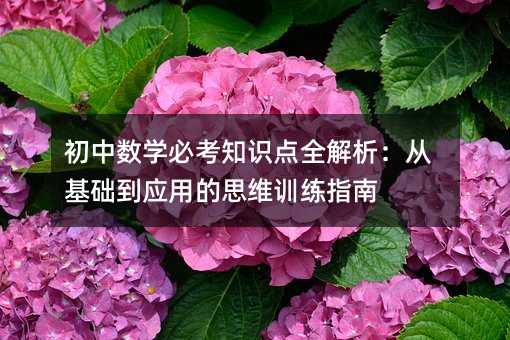 初中數學必考知識點全解析:從基礎到應用的思維訓練指南