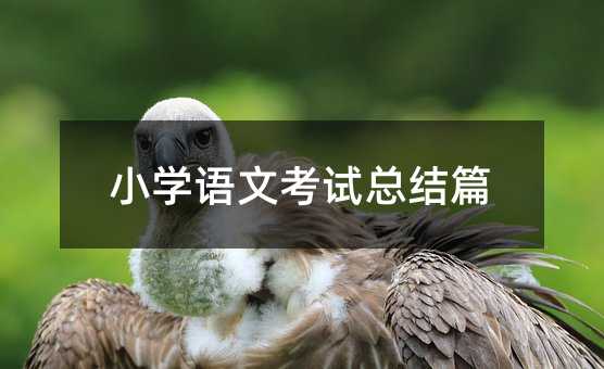 СW(xu)ZĿԇY(ji)ƪ