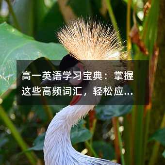 һӢZW䣺@Щl~Rpɑճ_cԇ