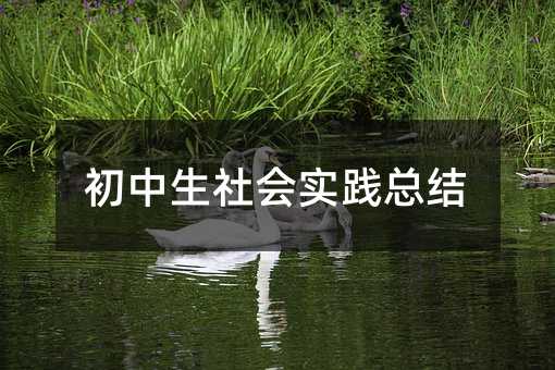 初中生社會實(shí)踐總結(jié)