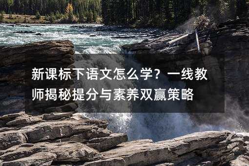 nZôW(xu)һ̎cB(yng)pA