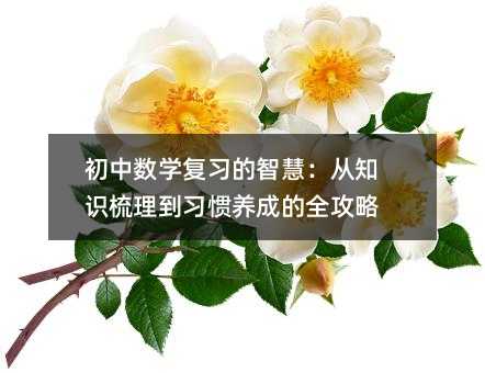 初中數(shù)學(xué)復(fù)習(xí)的智慧:從知識(shí)梳理到習(xí)慣養(yǎng)成的全攻略