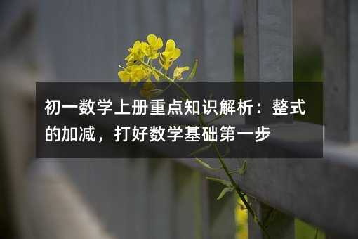初一數學上冊重點知識解析:整式的加減,打好數學基礎第一步