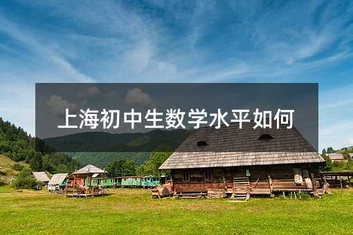 上海初中生數學水平如何