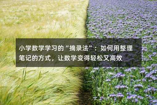 小學(xué)數(shù)學(xué)學(xué)習(xí)的“摘錄法”:如何用整理筆記的方式,讓數(shù)學(xué)變得輕松又高效