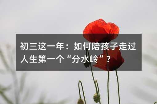 初三這一年:如何陪孩子走過(guò)人生第一個(gè)“分水嶺”?
