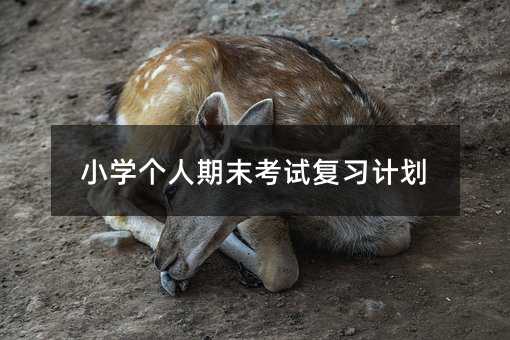 小學個人期末考試復習計劃