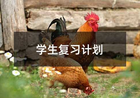 學(xué)生復(fù)習(xí)計(jì)劃