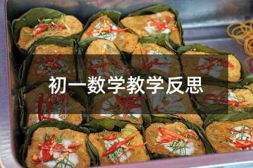 初一數學教學反思