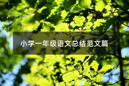 小學一年級語文總結范文篇