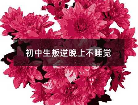 初中生叛逆晚上不睡覺