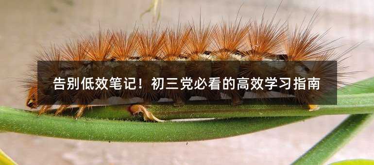 eЧPӛhؿĸЧWָ