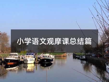 小學語文觀摩課總結篇