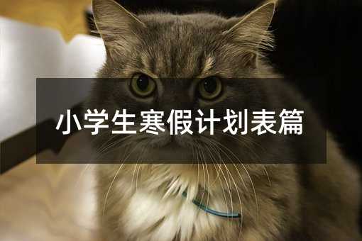 小學(xué)生寒假計(jì)劃表篇
