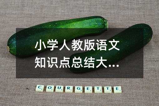 小學(xué)人教版語(yǔ)文知識(shí)點(diǎn)總結(jié)大全集