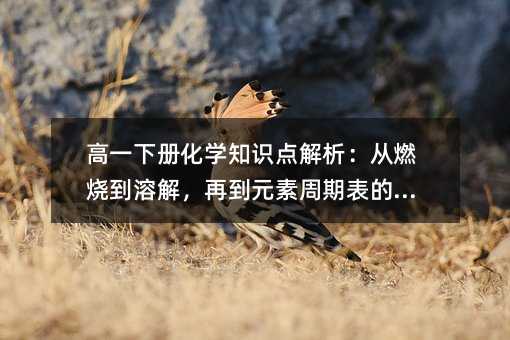 高一下冊化學知識點解析:從燃燒到溶解,再到元素周期表的秘密