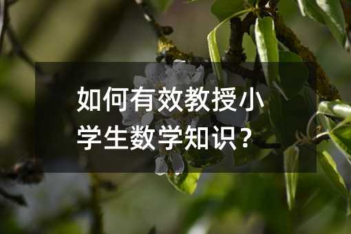 如何有效教授小學生數學知識?
