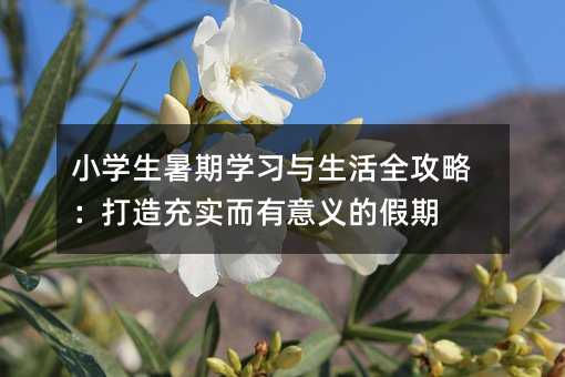 小學(xué)生暑期學(xué)習(xí)與生活全攻略:打造充實而有意義的假期