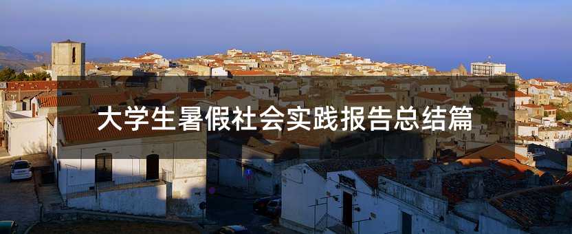 大學生暑假社會實踐報告總結篇