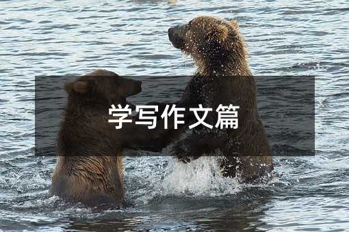 學寫作文篇