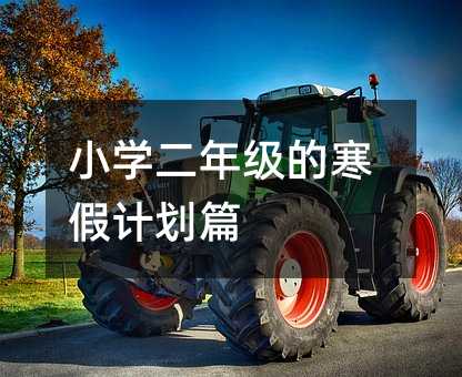 小學二年級的寒假計劃篇