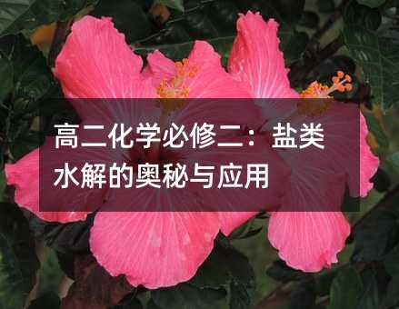 高二化學(xué)必修二:鹽類水解的奧秘與應(yīng)用