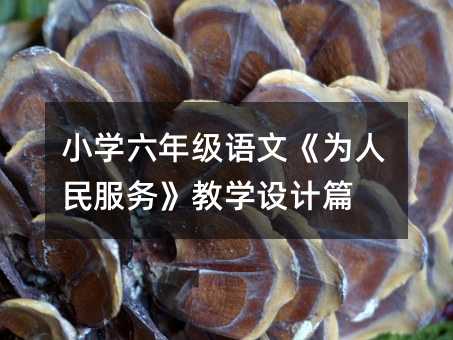 小學六年級語文《為人民服務》教學設計篇