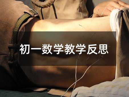 初一數學教學反思