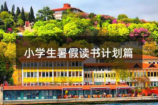 小學(xué)生暑假讀書計劃篇