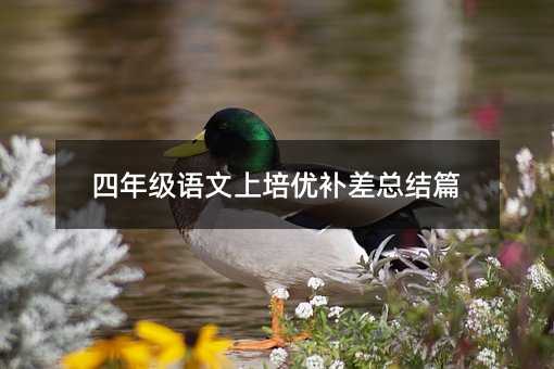 四年級語文上培優(yōu)補差總結(jié)篇