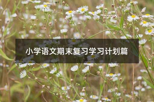 小學(xué)語文期末復(fù)習(xí)學(xué)習(xí)計劃篇