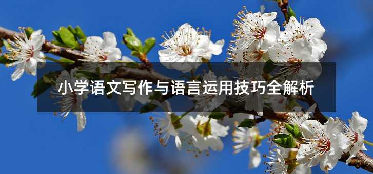 小學語文寫作與語言運用技巧全解析
