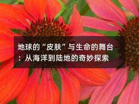 地球的“皮膚”與生命的舞臺:從海洋到陸地的奇妙探索