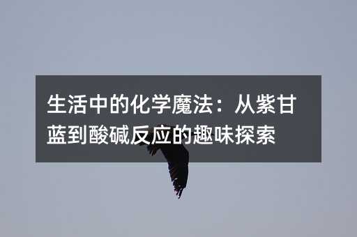 生活中的化學(xué)魔法:從紫甘藍(lán)到酸堿反應(yīng)的趣味探索