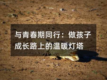 與青春期同行:做孩子成長路上的溫暖燈塔