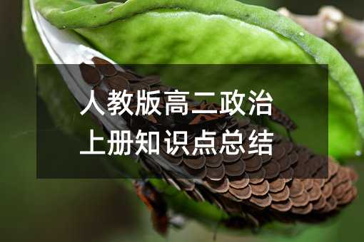 人教版高二政治上冊知識點總結