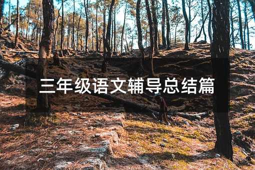 三年級語文輔導總結篇