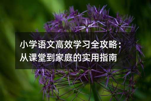 小學語文高效學習全攻略:從課堂到家庭的實用指南