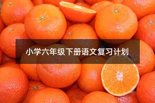 小學六年級下冊語文復習計劃