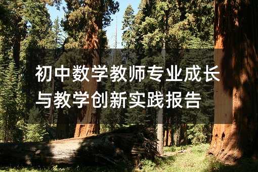 初中數(shù)學(xué)教師專業(yè)成長與教學(xué)創(chuàng)新實(shí)踐報(bào)告