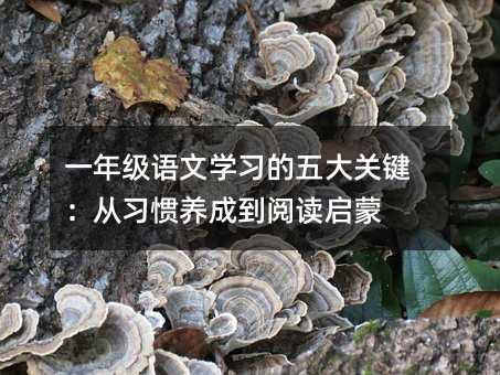 一年級語文學習的五大關鍵:從習慣養成到閱讀啟蒙