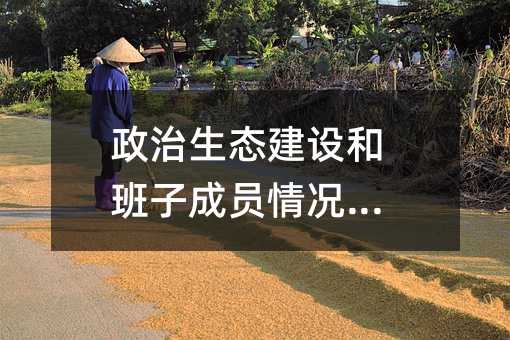 政治生態建設和班子成員情況報告