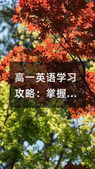 高一英語學習攻略:掌握一般過去將來時與現在進行時