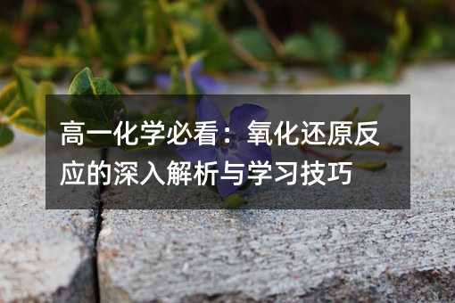高一化學必看:氧化還原反應的深入解析與學習技巧