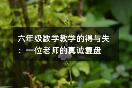 六年級數學教學的得與失:一位老師的真誠復盤