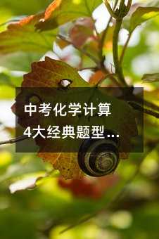 中考化學計算 4大經(jīng)典題型解題技巧總結
