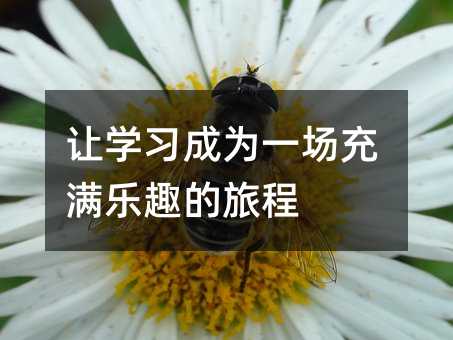 讓學習成為一場充滿樂趣的旅程