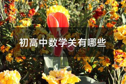 初高中數學關有哪些